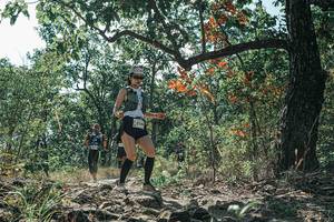 BIB: 
                            <button type="button" onclick="openModal(26116099)" class="btn btn-primary btn-sm float-right btn-popup" data-toggle="modal" data-target=".modal-high-quality">
                        <i class="fas fa-shopping-cart"></i> Add to Cart
                    </button>
                                            <button type="button" onclick="isThisMe(26116099, true)" class="btn btn-success btn-sm float-right btn-popup btn-isme hidden" data-toggle="tooltip" data-placement="bottom" title="นี่คือรูปของคุณใช่ไหม คลิกที่นี่เพื่อเอาเข้าอัลบั้ม">
                        <i class="fas fa-plus"></i> Add to album
                    </button>
                    <button type="button" onclick="isThisMe(26116099, false)" class="btn btn-warning btn-sm float-right btn-popup btn-isnotme hidden">
                        <i class="fas fa-ban"></i> Remove from album
                    </button>